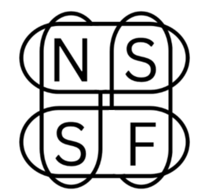 NSF Holdings